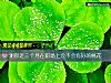 《測你近三個月在<i>職場</i>上會不會有好的桃花》测试