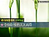 《令你吃驚的天大消息》测试