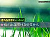《你的<i>本年</i>初計劃會是什麼》测试