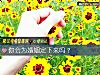《你會爲<i>婚姻</i>定下來嗎？》测试