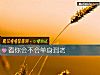 《看你會不會<i>單身</i>到老》测试
