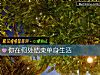 《你在何處結束單身<i>生活</i>》测试