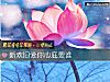 《新歡舊愛你心底要誰》测试
