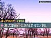《測試你在什麼領域堪稱老司機》测试