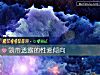 《領帶透露的性愛傾向》测试