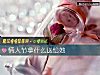 《<i>情人節</i>拿什麼送給她》测试