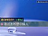 《考試透析夢中<i>情人</i>》测试