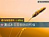 《測試本年年你的<i>異性</i>緣》测试