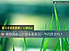 《測你的<i>命運</i>會因未來的另一半而改變嗎？》测试
