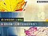 《測你的魅力在<i>哪個</i>時間段是極致？》测试