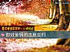 《你對<i>愛情</i>的態度如何》测试