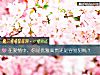 《在<i>愛情</i>中，你是優雅高貴還是容易犯賤？》测试