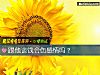 《跟他談錢會傷<i>感情</i>嗎？》测试