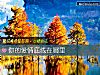 《你的<i>愛情</i>底線在哪裏》测试
