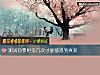 《測試你要相親幾次才能夠遇到<i>真愛</i>》测试
