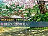 《你<i>多久</i>會厭倦愛人》测试