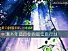 《測本年<i>適合</i>你的最佳旅行地》测试