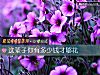 《這輩子你有多少錢才夠花》测试