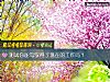 《測試你能駕馭得了現在的工作嗎？》测试