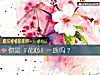《你是『<i>花心</i>』一族嗎？》测试