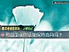 《利益面前你還能保持高尚嗎？》测试