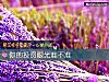 《你的投資眼光准不准》测试