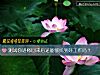 《測試你進修回來後還能夠找到好工作嗎？》测试
