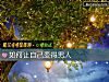 《如何讓自己變得男人》测试