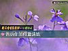 《告訴你如何邀請她》测试