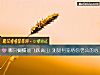 《哪只蝴蝶能飛躍高山 測如何籠絡你<i>老公</i>的心》测试