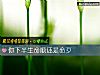 《你<i>下半生</i>命順還是命歹》测试