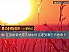 《在這場<i>愛情</i>持久戰中你會碰到哪些矛盾事？》测试
