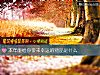 《本年能給你帶來幸運的物品是什麼》测试