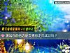 《測試你的信念能支撐你走向成功嗎？》测试