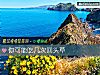 《你可能吃幾次回頭草》测试