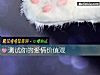 《測試你的愛情價值觀》测试