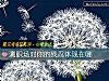 《測職場對你的殘忍體現在哪》测试
