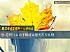 《你用什麼殺手锏能說服男友買<i>禮物</i>》测试