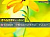 《你會因爲一個<i>細節</i>的不足而否定一個人嗎？》测试