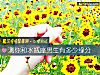 《測你和水瓶座男生有多少<i>緣分</i>》测试