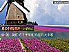 《測一測你的下半年能不能有大豐收》测试
