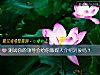 《測試你的<i>領導</i>會給你做媒人介紹對象嗎？》测试
