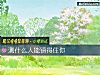 《測什麼人能鎮得住你》测试