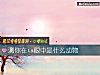 《測你在ta<i>眼中</i>是什麼動物》测试