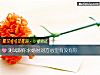 《測試跟你求婚時對方心裏<i>有沒有</i>你》测试