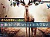 《測<i>伴侶</i>會因爲什麼對你改變看法》测试