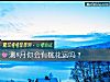 《測8月你會有<i>桃花運</i>嗎？》测试