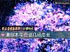 《測你本年會談幾場<i>戀愛</i>》测试