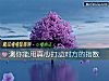 《測你能用真心打動對方的<i>指數</i>》测试