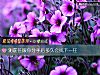 《測<i>前任</i>跟你分手後多久會找下一任》测试